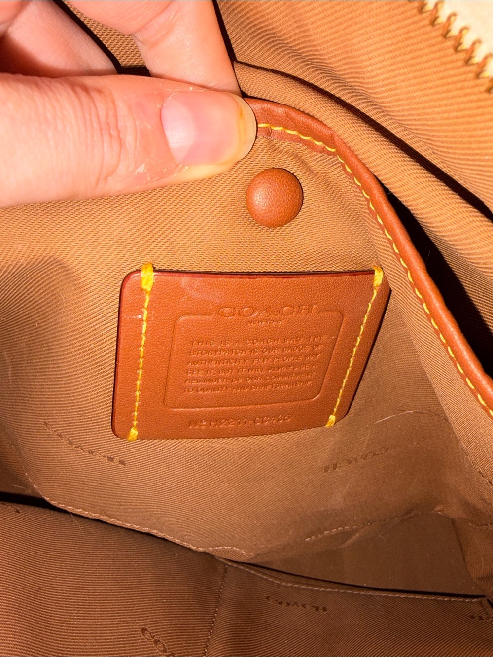 Coach Soft Pebble Leather Cary Shoulder Bag